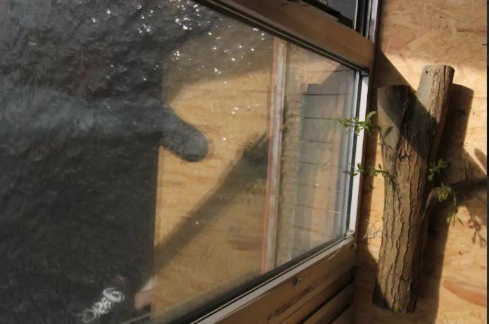 Einzigartiges 140qm Loft - Party Ist Erlaubt! Appartement