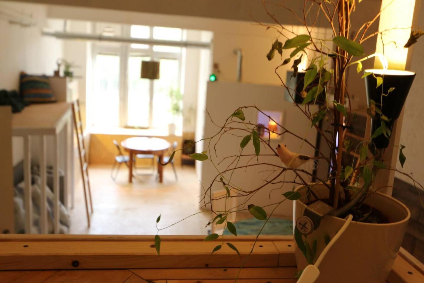 Einzigartiges 140qm Loft - Party Ist Erlaubt! Appartement *